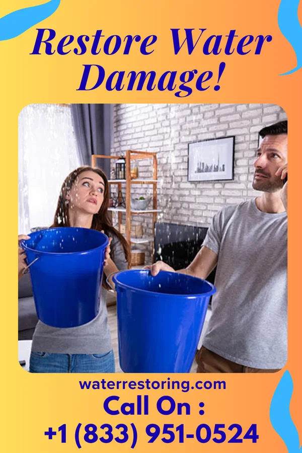 water restoration Zenith Water Removal Specialists Holland