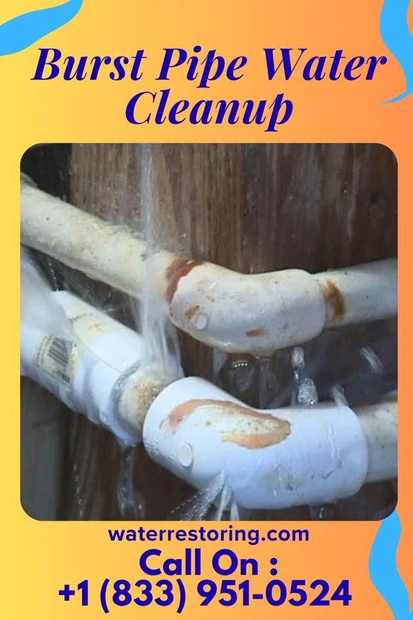 Burst Pipe Water Cleanup in Holland, OH
