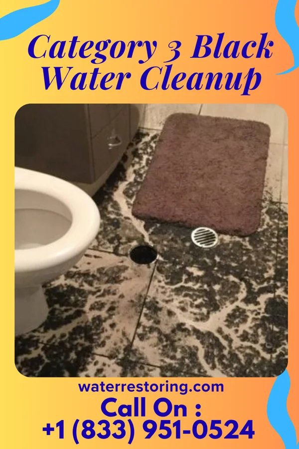 Category 3 Black Water Cleanup in Holland, OH
