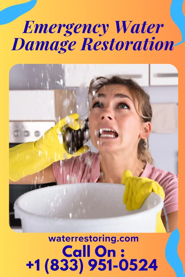 Emergency Water Damage Restoration in Holland, OH