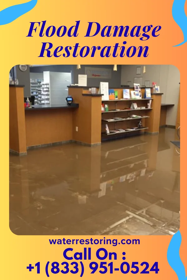 Flood Damage Restoration in Holland, OH