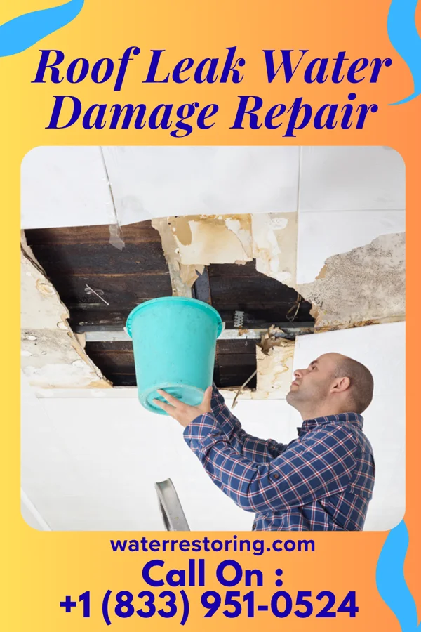 Roof Leak Water Damage Repair in Holland, OH