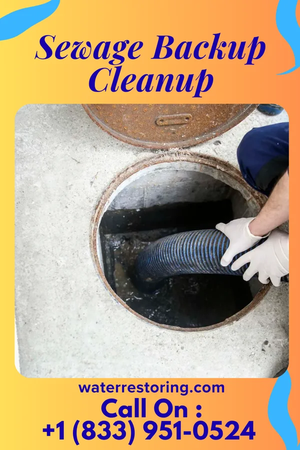 Sewage Backup Cleanup in Holland, OH